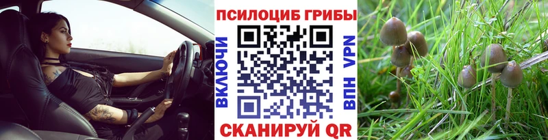 Псилоцибиновые грибы мицелий  Купить  Бикин 